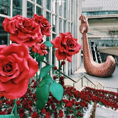 バレンタインデイペーパーの花